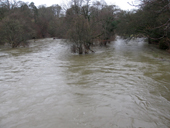 Local floods - River Derwent